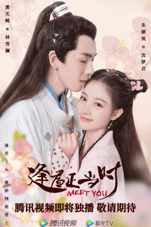 Gặp Chàng Đúng Lúc Gặp Chàng Đúng Lúc