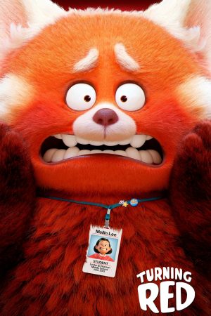 Gấu Đỏ Biến Hình Gấu Đỏ Biến Hình