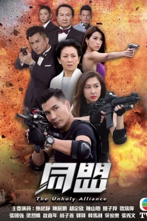 Cộng Sự Cộng Sự