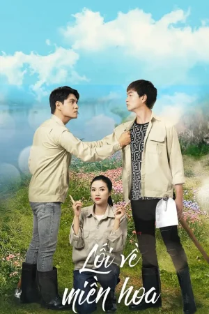 Lối Về Miền Hoa Lối Về Miền Hoa